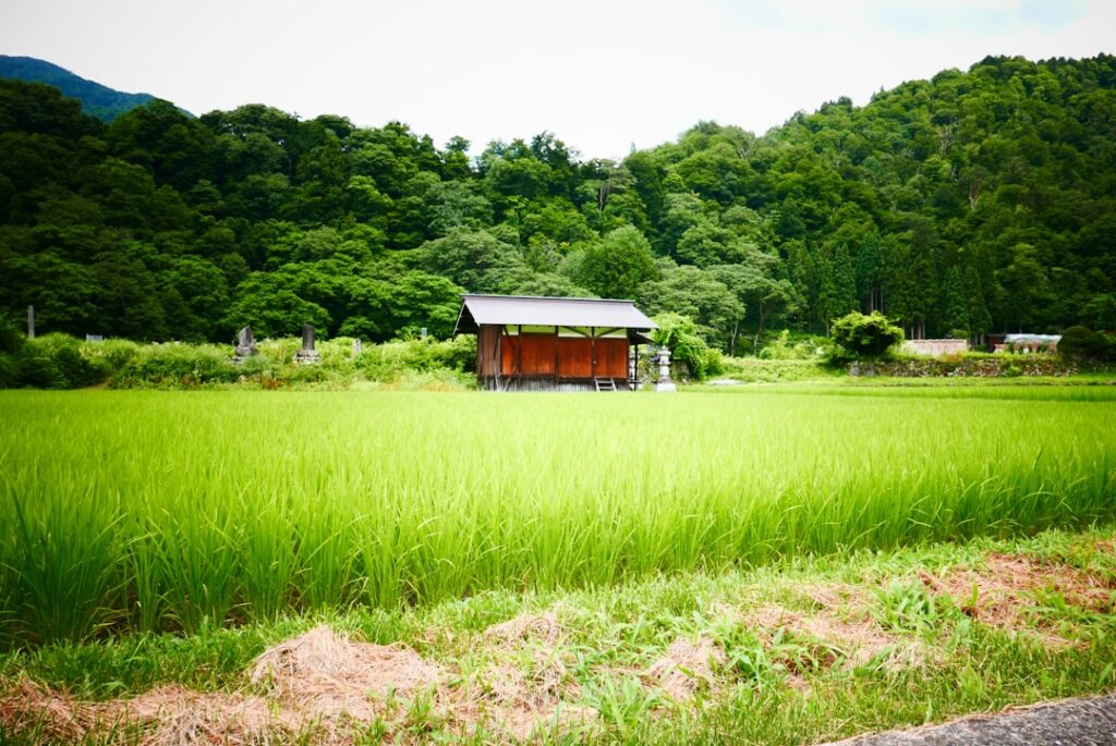 開所からもうすぐ4か月。隼人、この夏を振り返る。